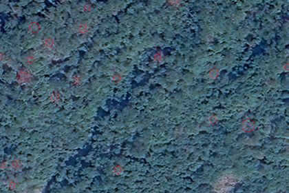 2024��ĳ���ɲ��߳���Ŀ