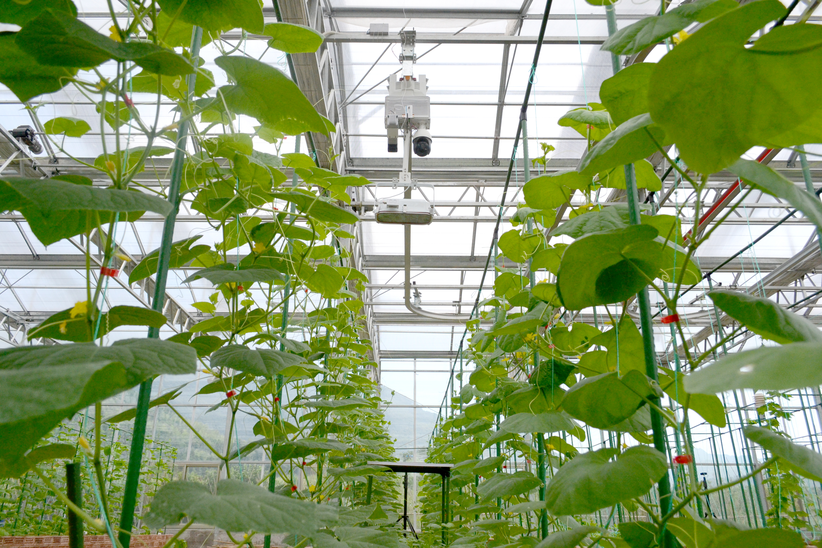 2022��ĳ�ǻ�ũҵ����