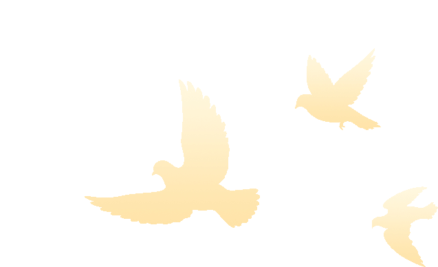 ��Ӯ��(VWIN)�ٷ���վ-AC�����ٷ�����ͬ��